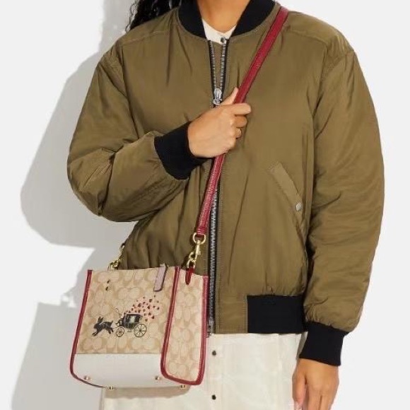 NWT COACH Lunar New Year Dempsey Tote 22 Signature Canvas Rabbit Carriag… - Picture 6 of 8